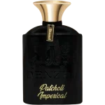 ادو پرفیوم یونیسکس دِنزل مدل Patchouli حجم 100 میلی‌لیتر